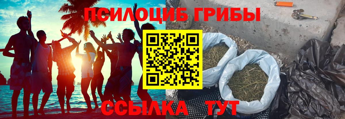 Галлюциногенные грибы мицелий Тавда